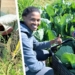 Rural farm children on Middelpos farm grow food to end hunger for themselves and 900 farm families on 42 farms. Photo: Supplied/FoodForMzansi