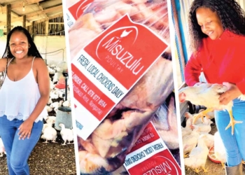 Thuli Mageba is a young poultry farmer from KwaZulu-Natal with big dreams in her pocket. Photo: Supplied/FoodforMzansi