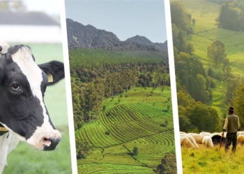 agricultural news
