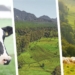 agricultural news
