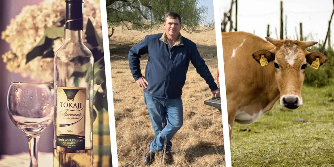 3 things happening in agri today: it's international Furmint day, watch episode 3 of Vir die liefde van die land, and it's the last day to signup for the SA Dairy Championship.