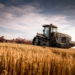 Agri SA believes that vaccinations to the agricultural sector should be a priority. Photo: Supplied/Food For Mzansi