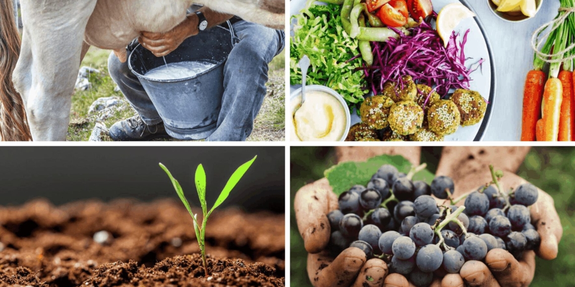 Let’s go, Monday! It’s Milk Day. We’re attending two soil health webinars and going plant-based for Vegan Monday. Plus, the official countdown has begun for this year’s Nedbank Vinpro Information Day. Photos: Supplied