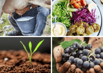Let’s go, Monday! It’s Milk Day. We’re attending two soil health webinars and going plant-based for Vegan Monday. Plus, the official countdown has begun for this year’s Nedbank Vinpro Information Day. Photos: Supplied