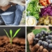 Let’s go, Monday! It’s Milk Day. We’re attending two soil health webinars and going plant-based for Vegan Monday. Plus, the official countdown has begun for this year’s Nedbank Vinpro Information Day. Photos: Supplied