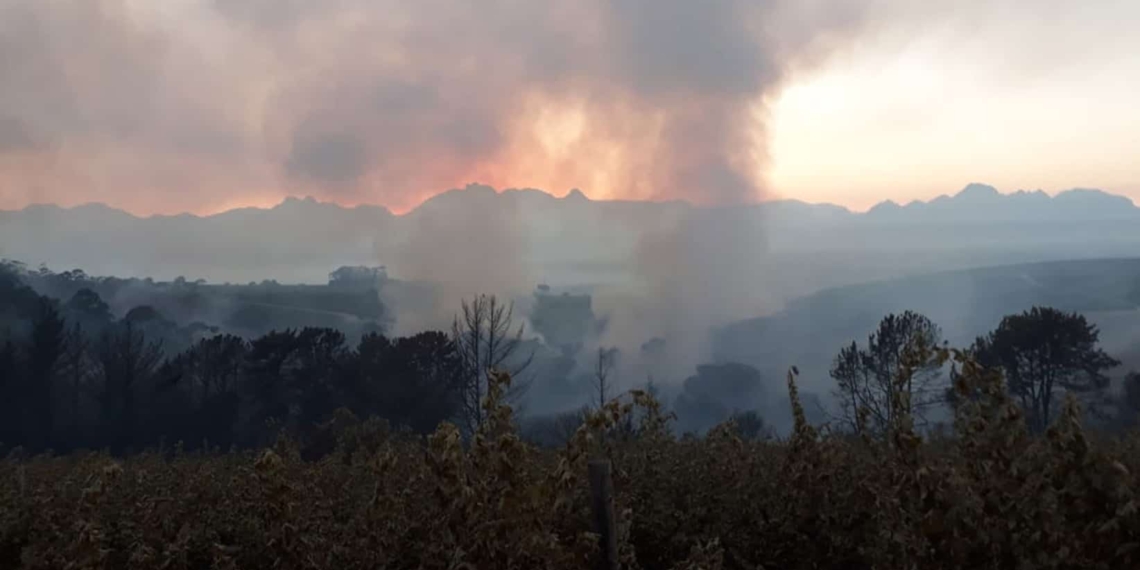 The Neethlingshof wine estate is keeping a close eye on smouldering patches following a blaze earlier this week. Photo: Supplied