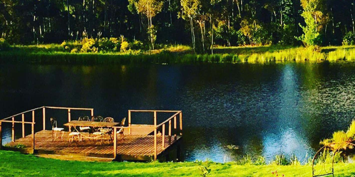 Amid global chaos there is a sense of peace and tranquility about life on a farm. The agri-tourism industry is marketing this to help them overcome the Covid-19 slump. Photo: Chevrells Farm