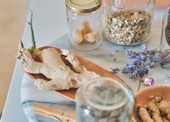 how to grow your own ginger