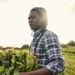 Land Bank: A growing number of black farmers are having success in the agricultural sector but many voices say transformation has a long way to go. Photo: Supplied/Food For Mzansi