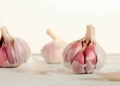 garlic prices how to grow your own garlic