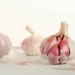 garlic prices how to grow your own garlic