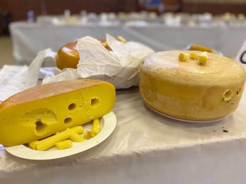 SA Dairy Championships