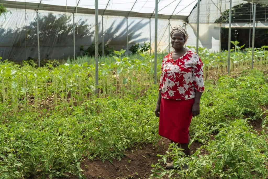 Founder Refiloe Molefe inside a greenhouse flourishing with healthy, organically grown food at the Bertrams Inner City Farm.