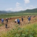 Agricultural sector employment numbers rise
