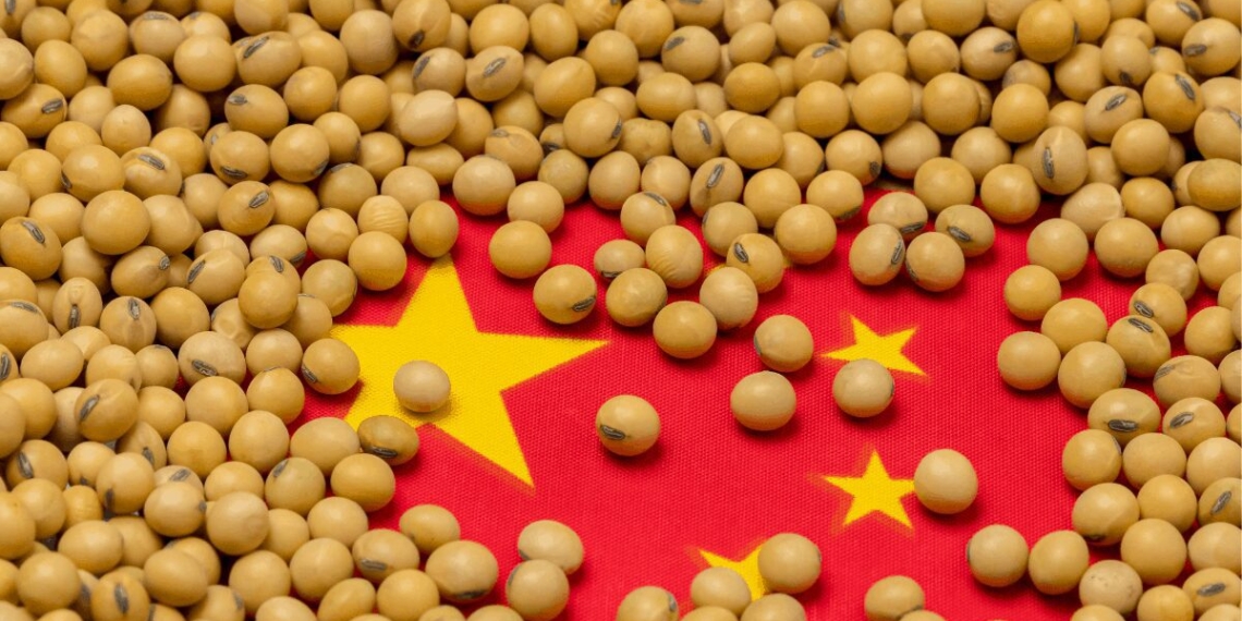 POULTRY: China has become a significant soybean consumer, as the country imports over 60% of globally traded soybeans. Photo: Supplied/JJ Gouin