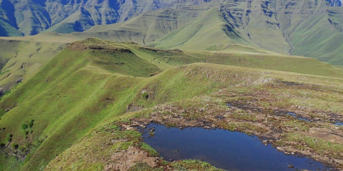 As Sub-Saharan Africa expects huge population growth, researchers are exploring the socio-ecological functioning of montane grasslands. Photo: Supplied/Food For Mzansi