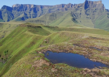 As Sub-Saharan Africa expects huge population growth, researchers are exploring the socio-ecological functioning of montane grasslands. Photo: Supplied/Food For Mzansi