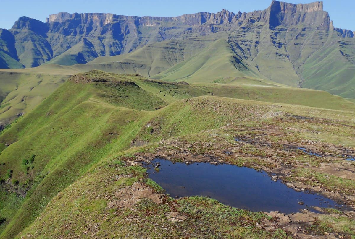 As Sub-Saharan Africa expects huge population growth, researchers are exploring the socio-ecological functioning of montane grasslands. Photo: Supplied/Food For Mzansi