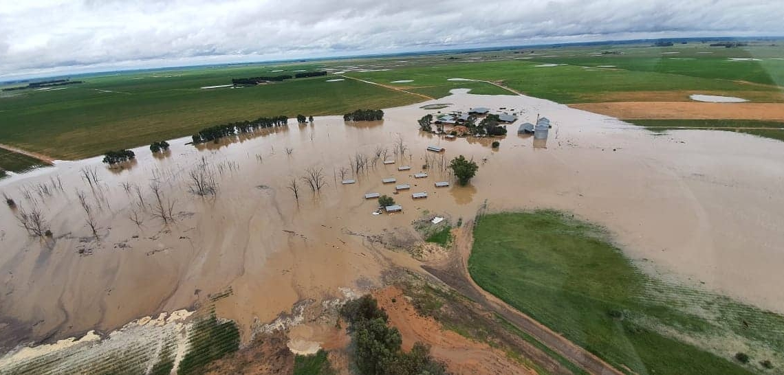 Although recent rains have been great for livestock farmers, many others, including broader communities, are facing severe damage. Photo: @vslandbou/Twitter