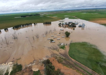 Although recent rains have been great for livestock farmers, many others, including broader communities, are facing severe damage. Photo: @vslandbou/Twitter