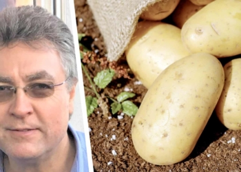 Potatoes SA says new boss, Willie Jacobs, says lack of reliable information and the linking of information on both sides of the sales transaction, are both the biggest threat and opportunity currently within our industry. Photo: Supplied/FoodForMzansi