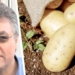 Potatoes SA says new boss, Willie Jacobs, says lack of reliable information and the linking of information on both sides of the sales transaction, are both the biggest threat and opportunity currently within our industry. Photo: Supplied/FoodForMzansi