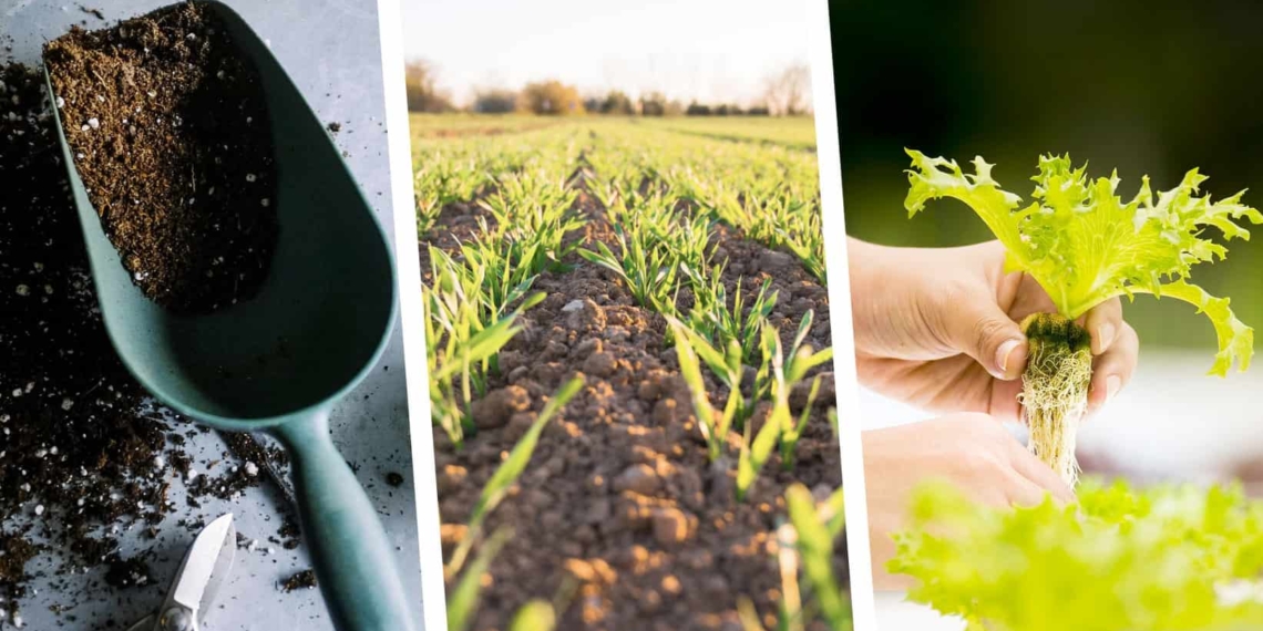 agricultural news