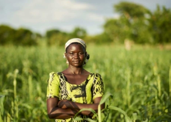 Gender inequality slows agricultural development, found a global study. Photo: Supplied/Food For Mzansi