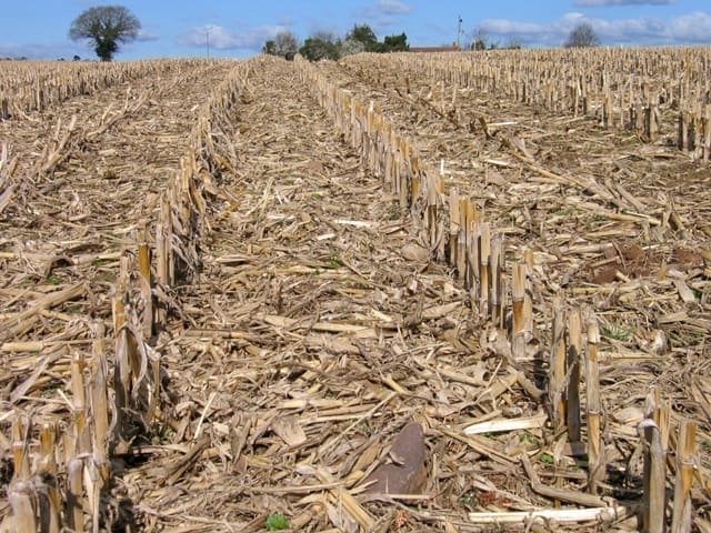 Late rain leaves farmers high and dry during planting season