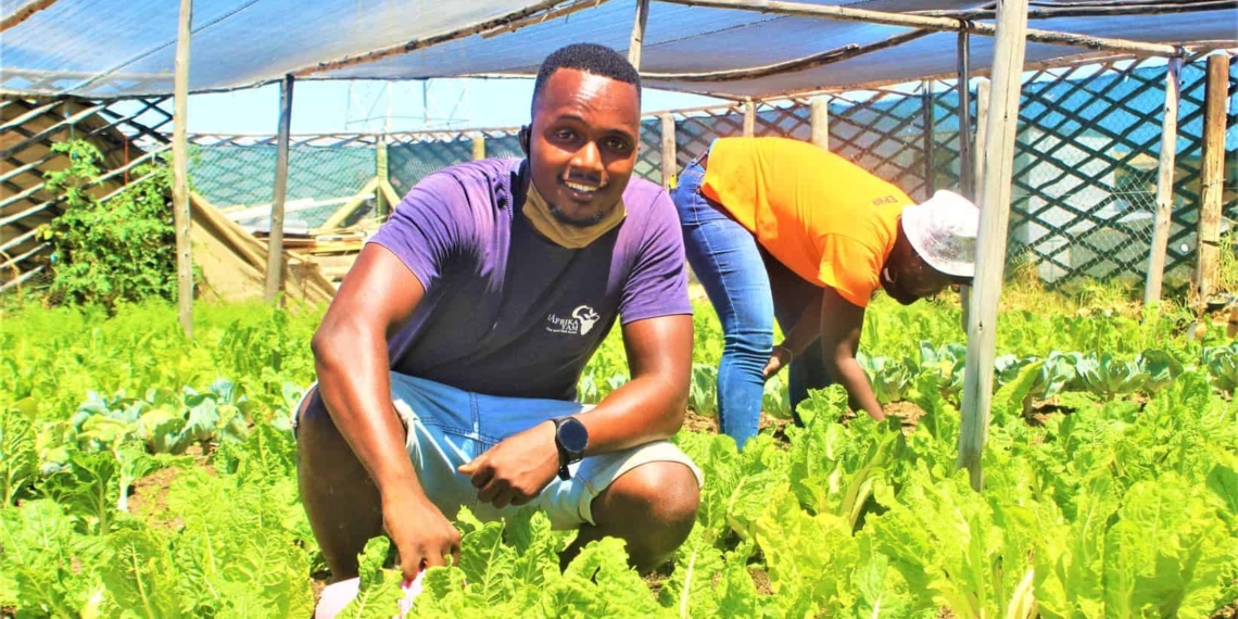 Food Crisis: Collaboration and innovation will be key. Mawande Sigwinta is a chemistry graduate who started a food garden to teach people self-sustainability and self-reliance. Experts say community collaboration could open up value-add opportunities for higher profitability from less produce amid climate change. Photo: Duncan Masiwa/Food For Mzansi