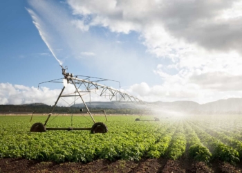President Cyril Ramaphosa said government will prioritise steps to ensure that water licence applications are finalised within 90 days after being lodged. Photo: Supplied/Food For Mzansi
