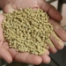 Making your own animal feed to save costs might not always work out cheaper, warn experts. Proper nutrition gives animals the vigour to grow, develop, and reproduce, and strong immunity to fight off infections. Photo: Supplied/Food For Mzansi
