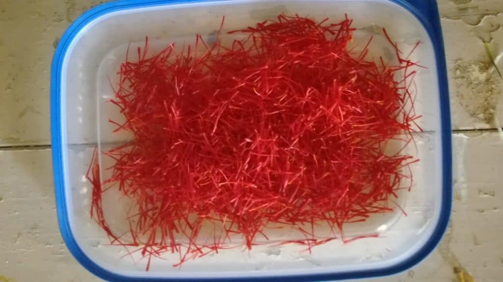Saffron is a potent spice, and is threads are most delicate. Photo: Supplied/Food For Mzansi