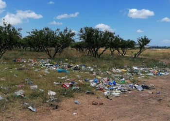 “Nobody is taking ownership for the environment or pollution. There is no government prevention happening,” says hydroponics farmer Byron Booysen. Photo: Supplied/Food For Mzansi