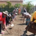 Non-profit micro-farming organisation Abalimi Bezekhaya teaches over 2 000 impoverished people from townships in Cape Town to plant their own vegetable gardens to supplement their existing, inadequate supply of food. Photo: Supplied/Food For Mzansi
