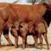 This week’s agri events: 04 to 08 September