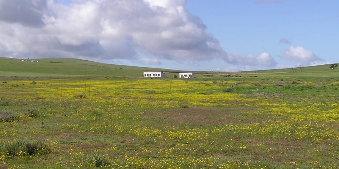 Despite his track record, Ivan Cloete has to vacate the state-owned Colenso farm in Darling in the Western Cape. It was assigned to a MK veteran. Photo: Supplied/Food For Mzansi
