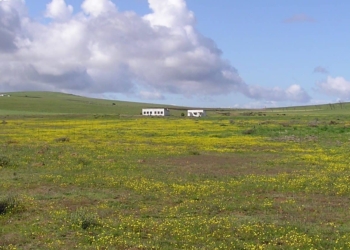 Despite his track record, Ivan Cloete has to vacate the state-owned Colenso farm in Darling in the Western Cape. It was assigned to a MK veteran. Photo: Supplied/Food For Mzansi