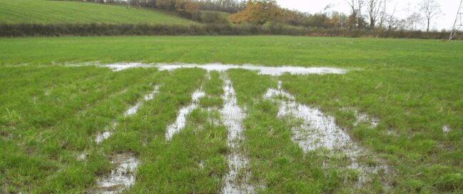 REGENERATIVE: Flood-related soil erosion is severely influenced by farming practices. Photo: Supplied/Food For Mzansi