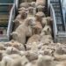 Ministers Thoko Didiza and Ebrahim Patel have welcomed the unbanning of South African wool products by China Photo: Supplied/Food For Mzansi