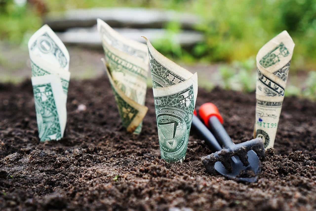 10 funding opportunities for farmers - Food For Mzansi