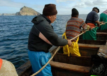 In 2019, the small-scale fishing sector contributed more than R3 billion to South Africa's GDP. Photo: Rodger Bosch/Brand SA
