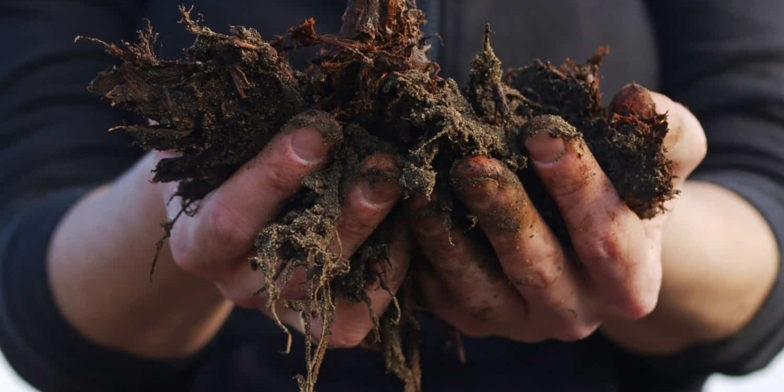Soil is the foundation of most types of agriculture, yet soil health is negatively impacted by many farming practices. Photo: Supplied/Food For Mzansi