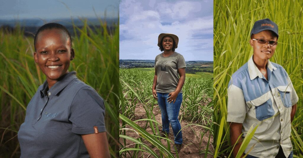 While sugarcane production is growing across the continent, South Africa's sugarcane value chain master plan has also been signed off. This is set to revive the waning industry and empower more local sugarcane farmers. Photos: Supplied/Food For Mzansi
