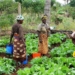 Malnutrition is ‘a slow violence against our children’