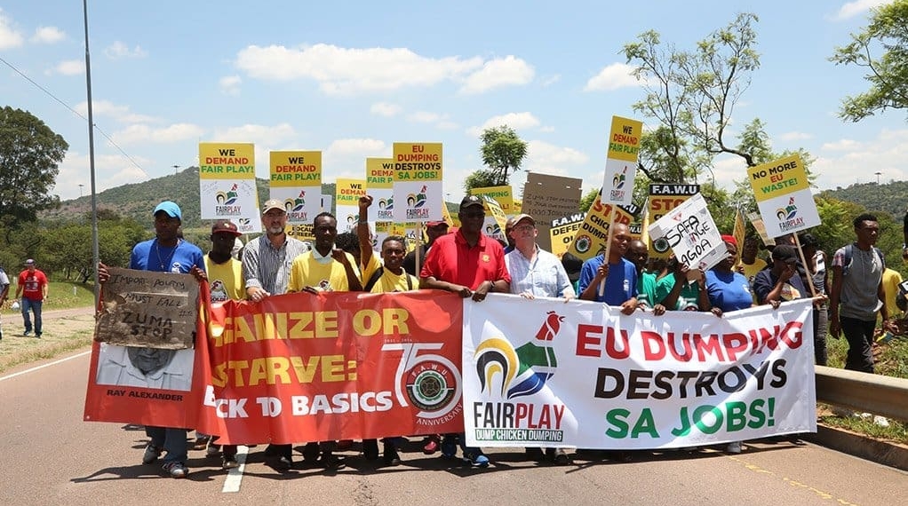 The Food and Allied Workers Union and the South African Poultry Association earlier handed a memorandum to the European Union’s offices in Pretoria over the claimed dumping of chicken in South Africa. Photo: Supplied/Food For Mzansi