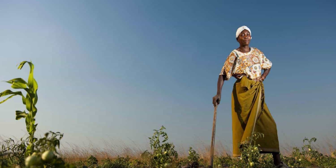 Women play important and varied roles in agriculture, but they still don't have equal opportunities when compared to men. Photo: Supplied/Food For Mzansi