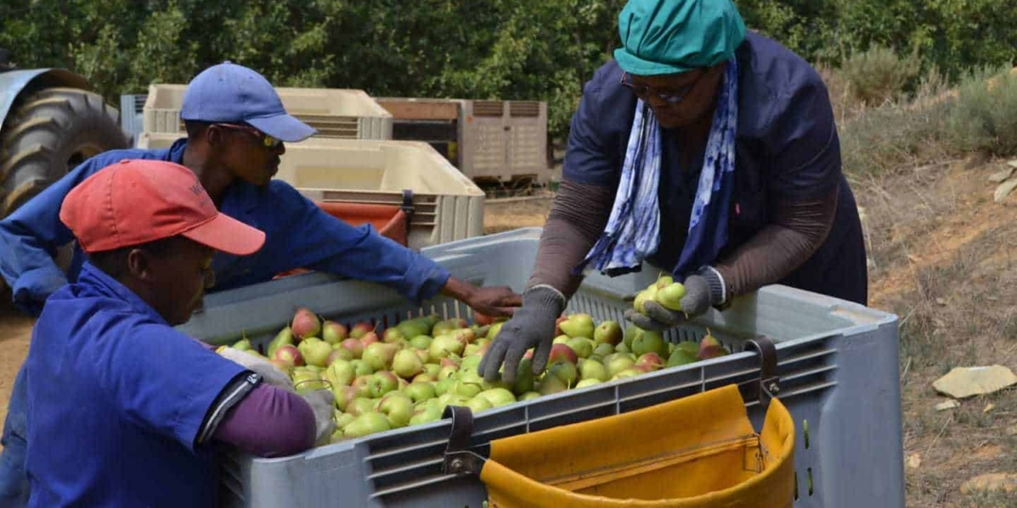 ICYMI: Agriculture stands tall as top jobs provider in Q3