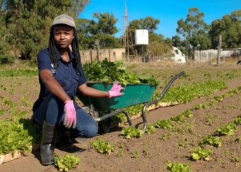 Njabulo Mbokane won the 2019 SAB-FarmSol Young Emerging Farmer of the Year title. She is one of many farmers across Mzansi supported by FarmSol. Photo: Twitter