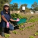 Njabulo Mbokane won the 2019 SAB-FarmSol Young Emerging Farmer of the Year title. She is one of many farmers across Mzansi supported by FarmSol. Photo: Twitter